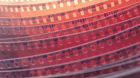 Microfilm celluloid labels