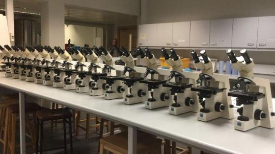 Microscopes placed in a line on a lab table