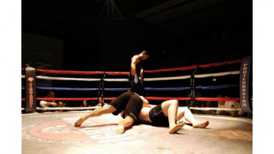 Showcase Control