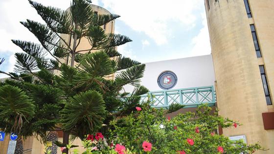 University of Malta