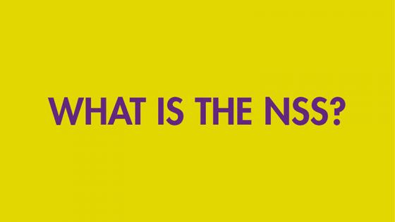 What is the NSS