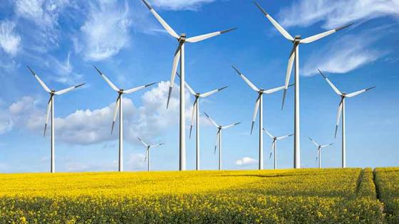 Windmills in field