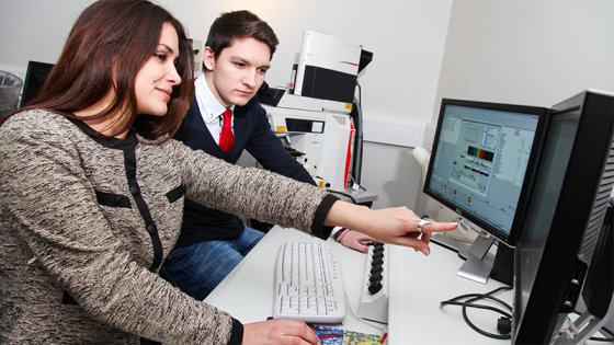 Skills Academy: Work Experience